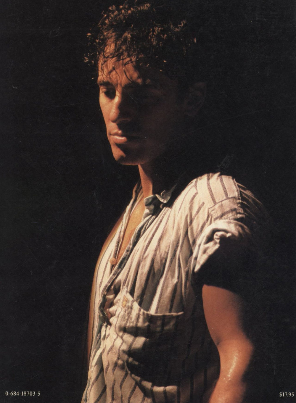 Bruce Springsteen Springsteen US book