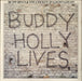 Buddy Holly 20 Golden Greats UK vinyl LP album (LP record) MCTV1