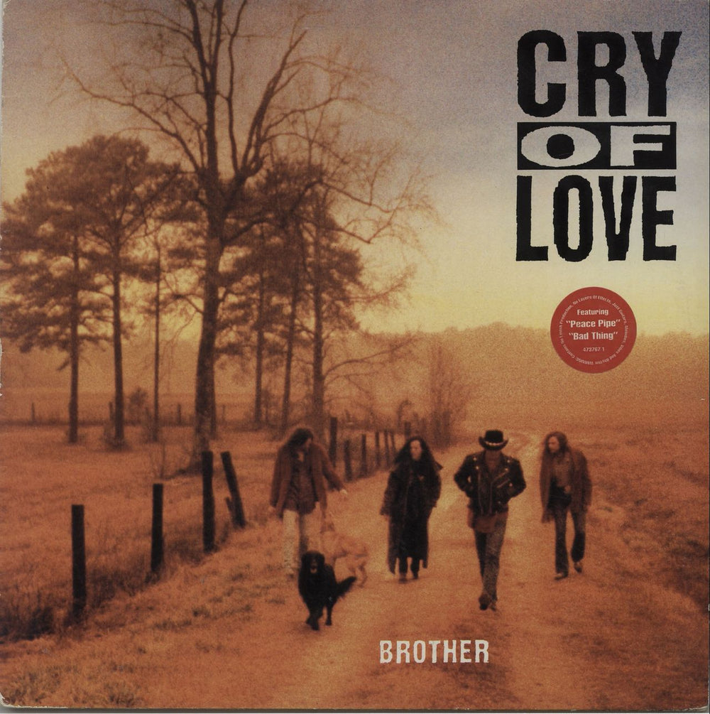 Cry Of Love Brother Dutch vinyl LP album (LP record) 4737671