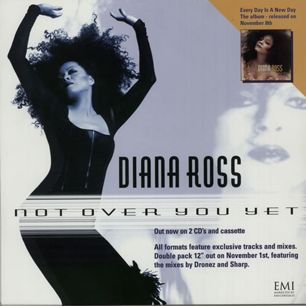 Diana Ross Not Over You Yet UK Promo display PROMO DISPLAY