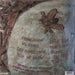 Dinosaur Jr Bug - Brown vinyl US vinyl LP album (LP record)