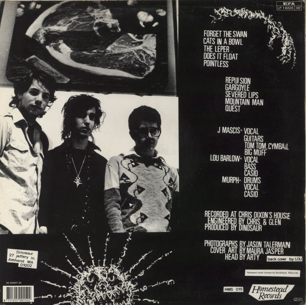 Dinosaur Jr Dinosaur Dutch vinyl LP album (LP record) 8711315001522