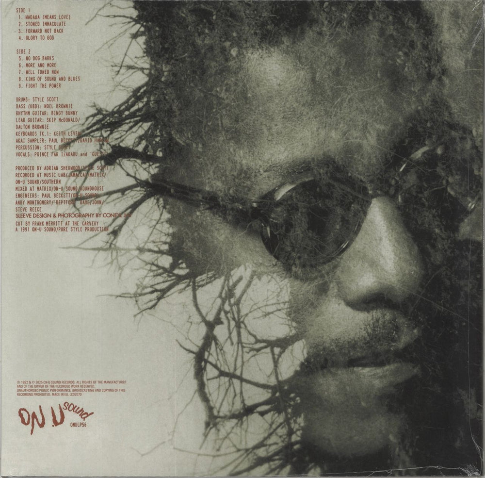 Dub Syndicate Stoned Immaculate UK vinyl LP album (LP record) DH7LPST861962