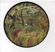 Duncan Browne The Wild Places UK 7" vinyl picture disc (7 inch picture disc single) GO329