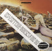 Led Zeppelin Houses Of The Holy - 200gm US vinyl LP album (LP record) SD7255