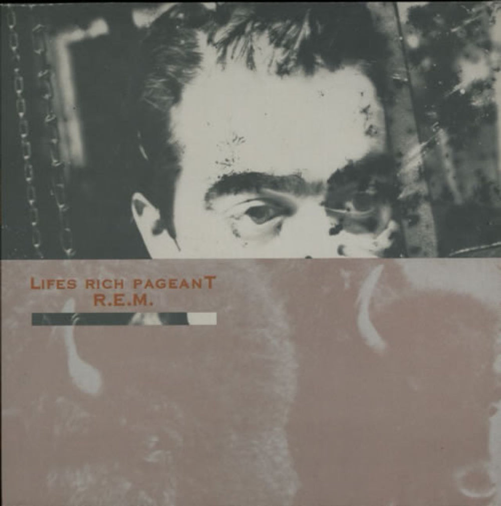REM Lifes Rich Pageant Dutch vinyl LP album (LP record) ILP4653811