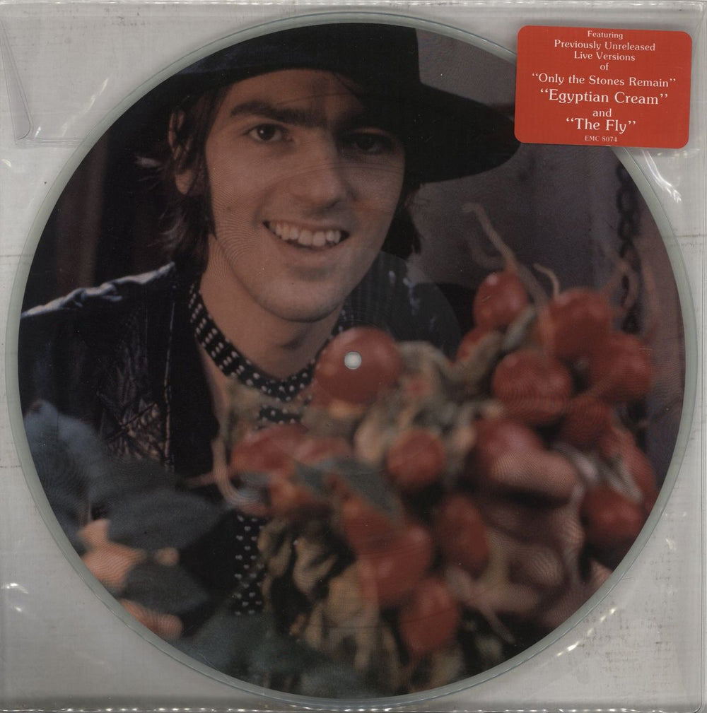 Robyn Hitchcock Exploding In Silence UK picture disc LP (vinyl picture disc album) EMC8074