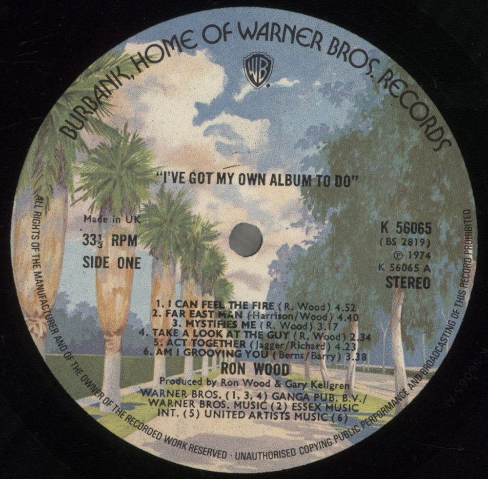 Ronnie Wood I've Got My Own Album To Do UK vinyl LP album (LP record) RNWLPIV68686