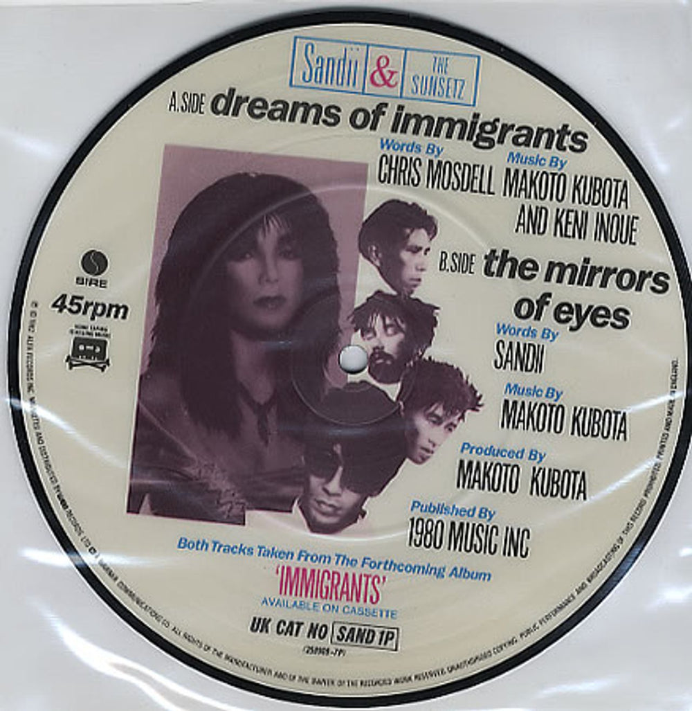 Sandii & The Sunsetz Dreams Of Immigrants UK 7" vinyl picture disc (7 inch picture disc single) SII7PDR54706