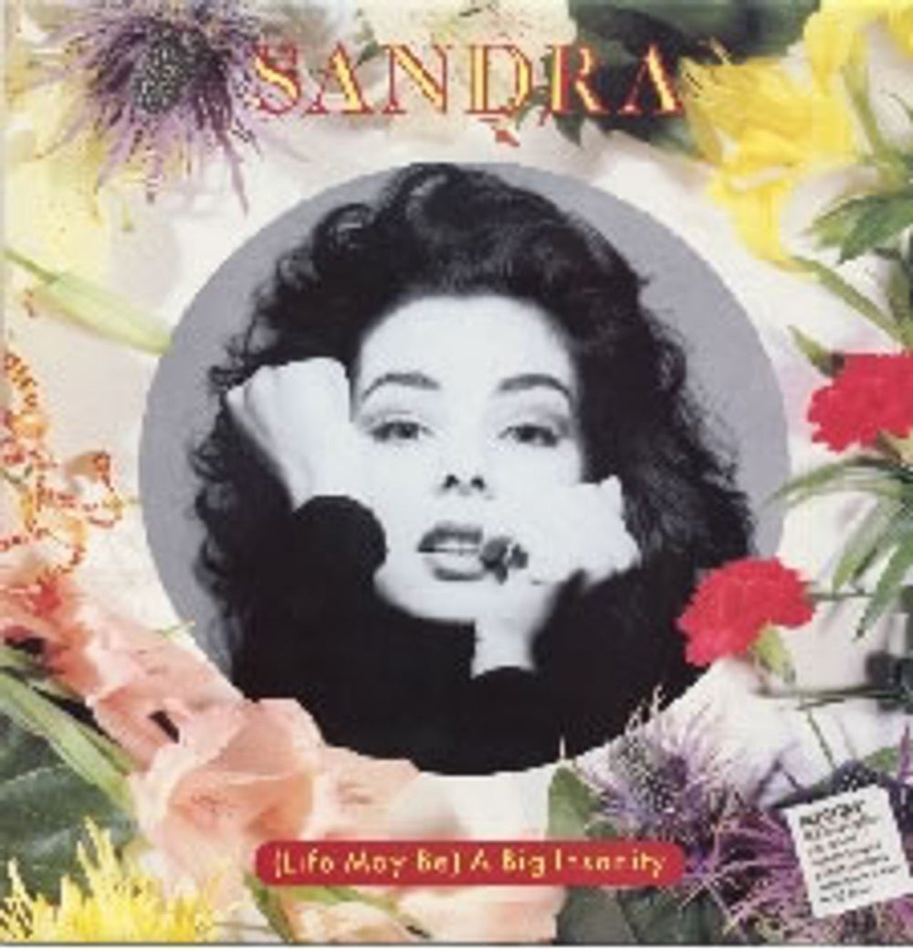 Sandra A Big Insanity UK 12" vinyl single (12 inch record / Maxi-single) VST1286