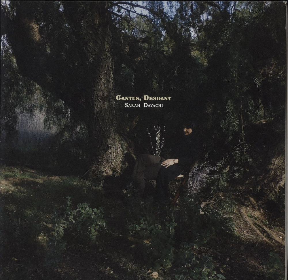 Sarah Davachi Cantus, Descant US 2-LP vinyl record set (Double LP Album) LMILP