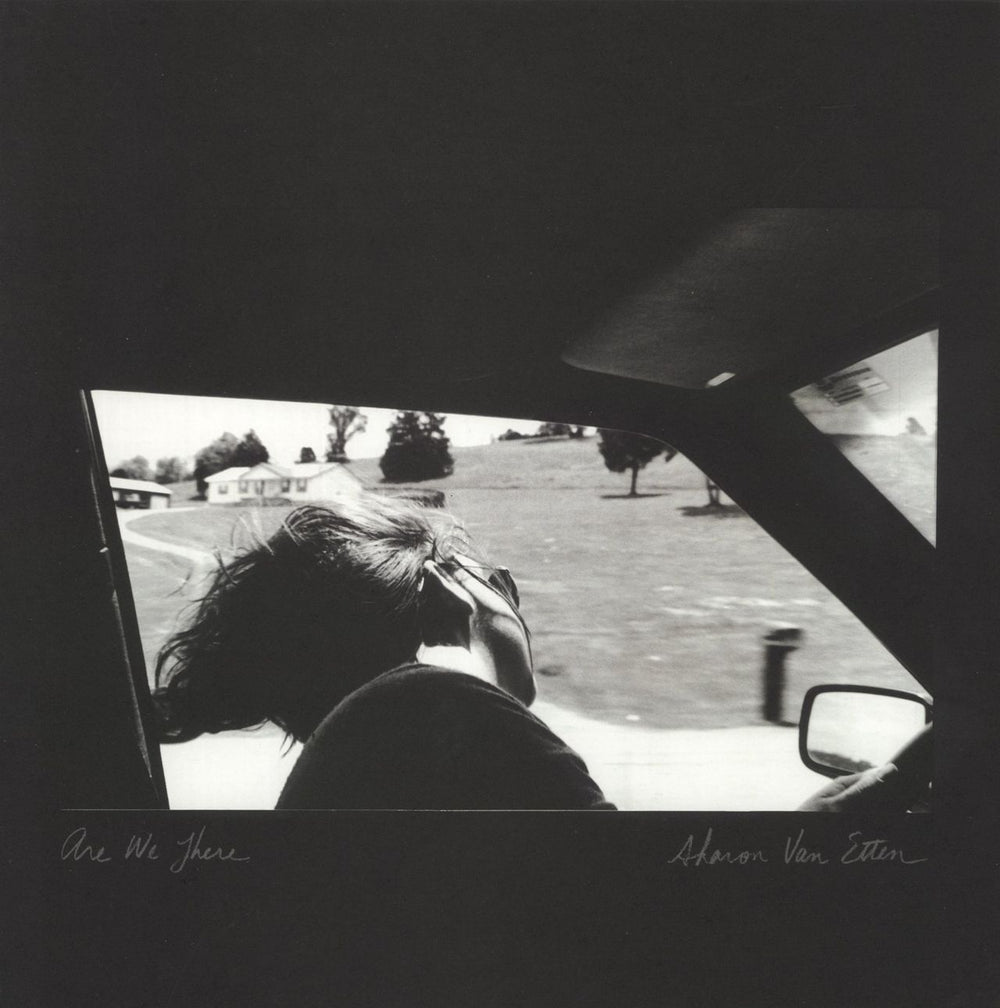 Sharon Van Etten Are We There - Clear Vinyl US vinyl LP album (LP record) JAG255