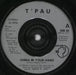 T'Pau China In Your Hand UK 7" vinyl single (7 inch record / 45) SRN64