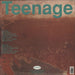 Teenage Fanclub A Catholic Education UK vinyl LP album (LP record) 5017161000720