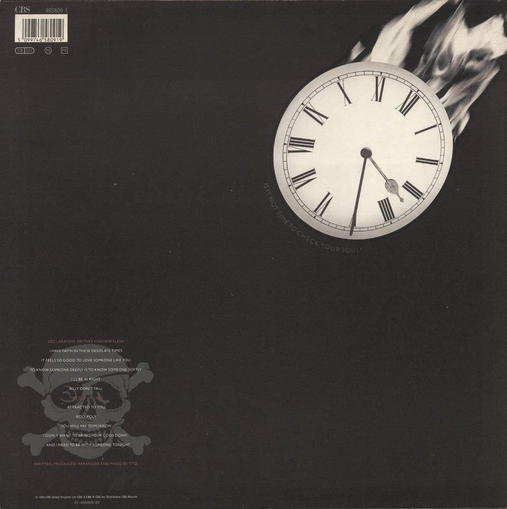 Terence Trent D'Arby Neither Fish Nor Flesh Dutch vinyl LP album (LP record) 5099746580919