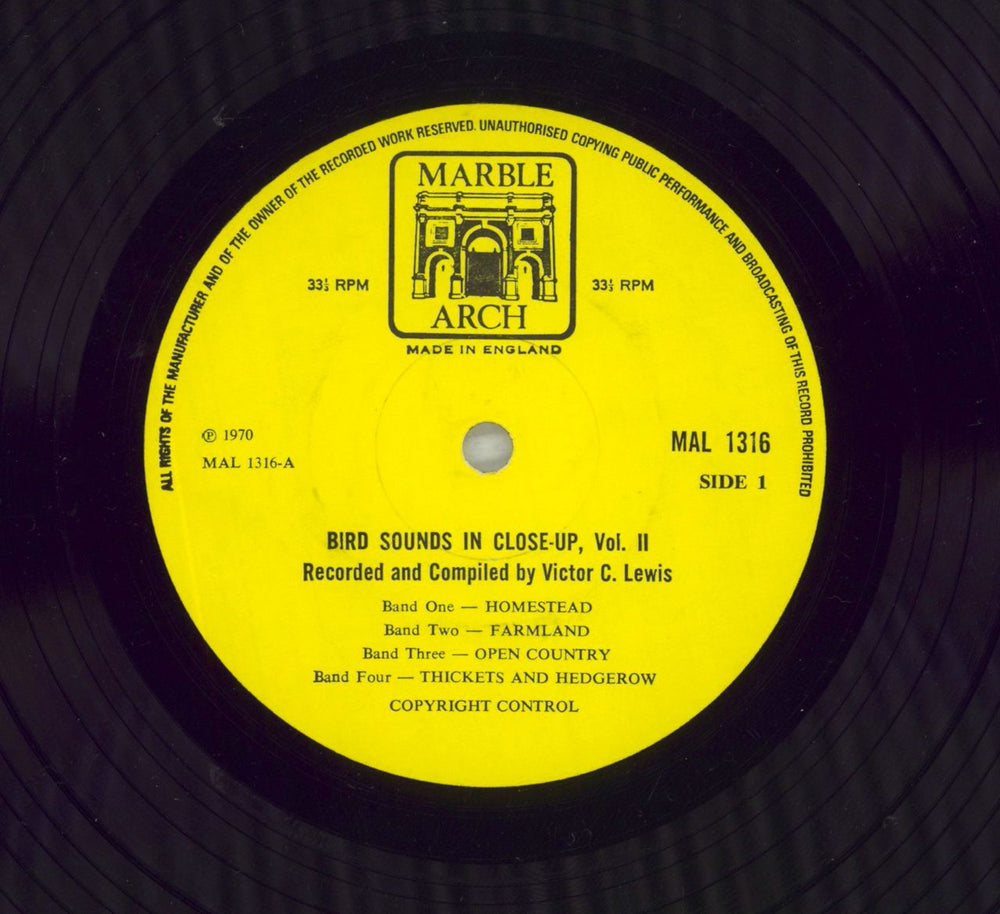 Various-Nature, Birds, Whales & Wildlife Bird Sounds In Close-Up Volume Two UK vinyl LP album (LP record) XAULPBI721028