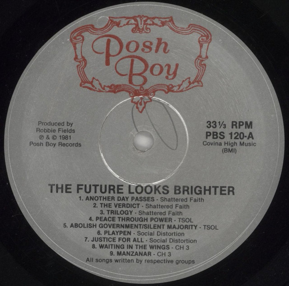 Various-Punk & New Wave The Future Looks Brighter US vinyl LP album (LP record) PVALPTH862526