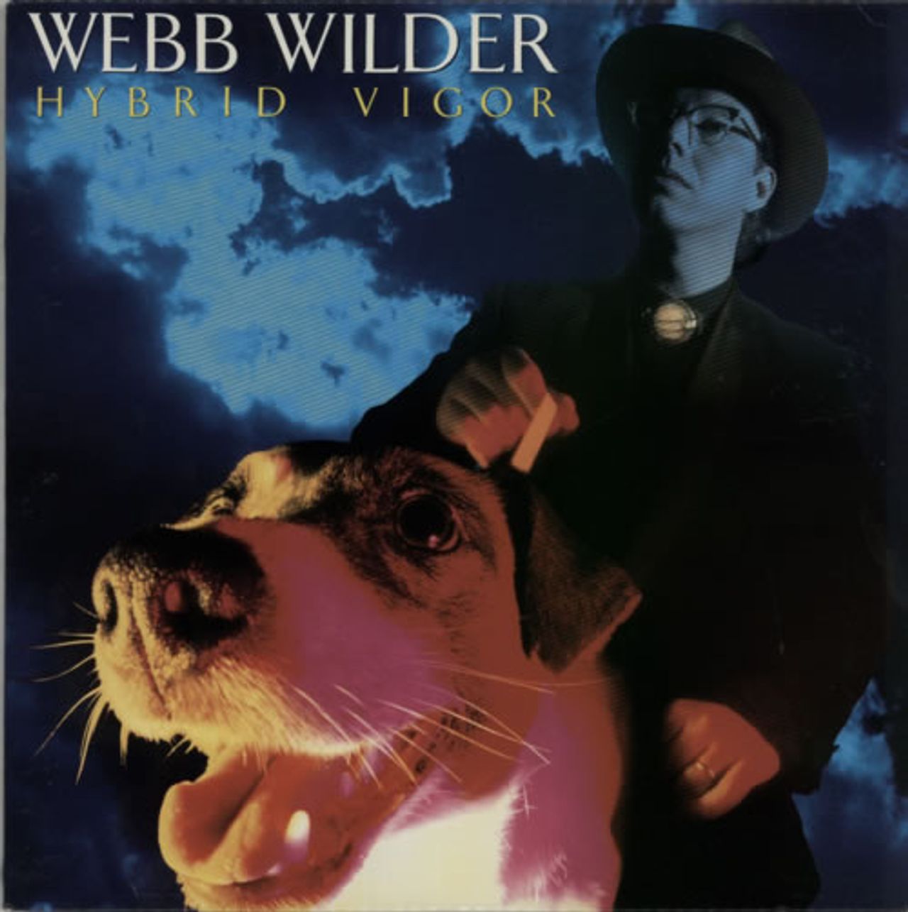 Webb Wilder