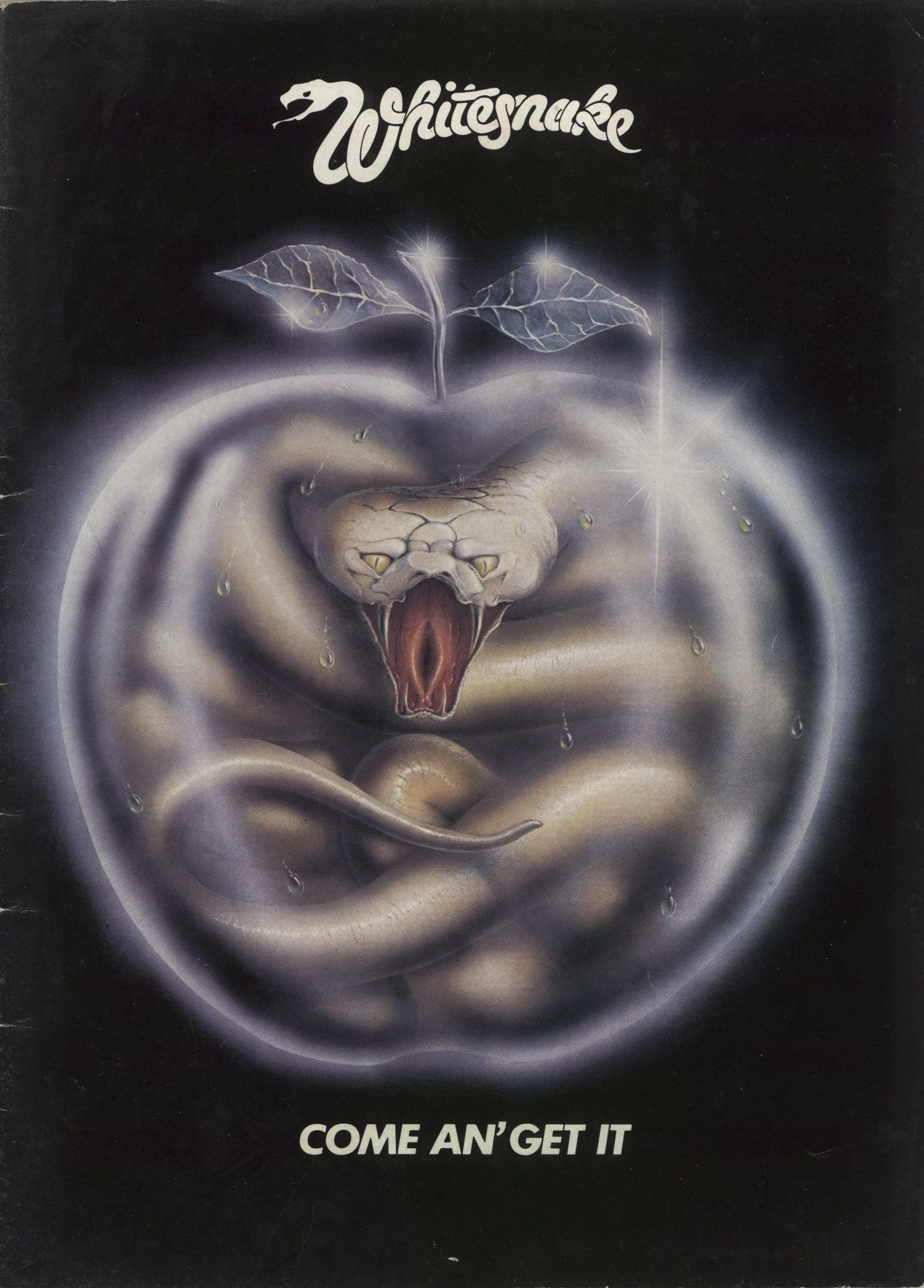 Whitesnake Come An' Get It + Ticket Stub UK tour programme tour programme