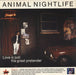 Animal Nightlife Love Is Just The Great Pretender UK 12" vinyl single (12 inch record / Maxi-single) 12IS200