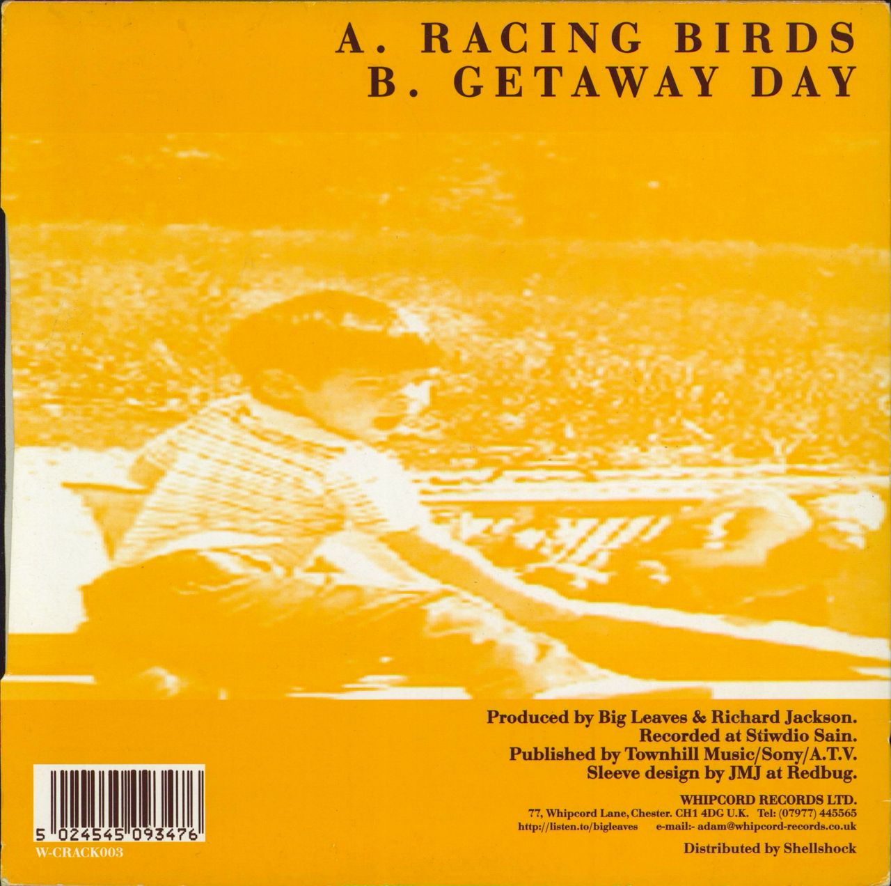 Big Leaves Racing Birds UK 7