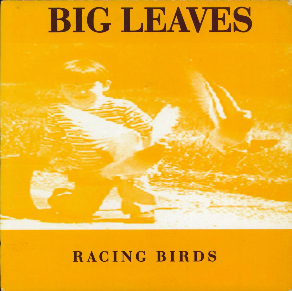 Big Leaves Racing Birds UK 7