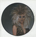 Blondie The Hunter UK picture disc LP (vinyl picture disc album) PCDL1384