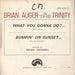 Brian Auger What You Gonna Do? French 7" vinyl single (7 inch record / 45)