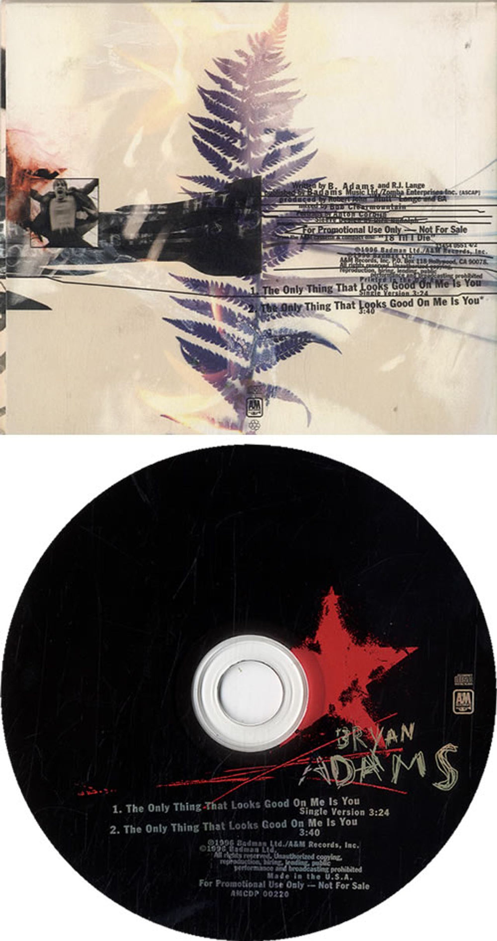 Bryan Adams The Only Thing That Looks Good On Me Is You US Promo CD single (CD5 / 5") ADAC5TH68747