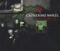 Catherine Wheel Delicious UK Promo CD single (CD5 / 5") CDCHSDJ5071