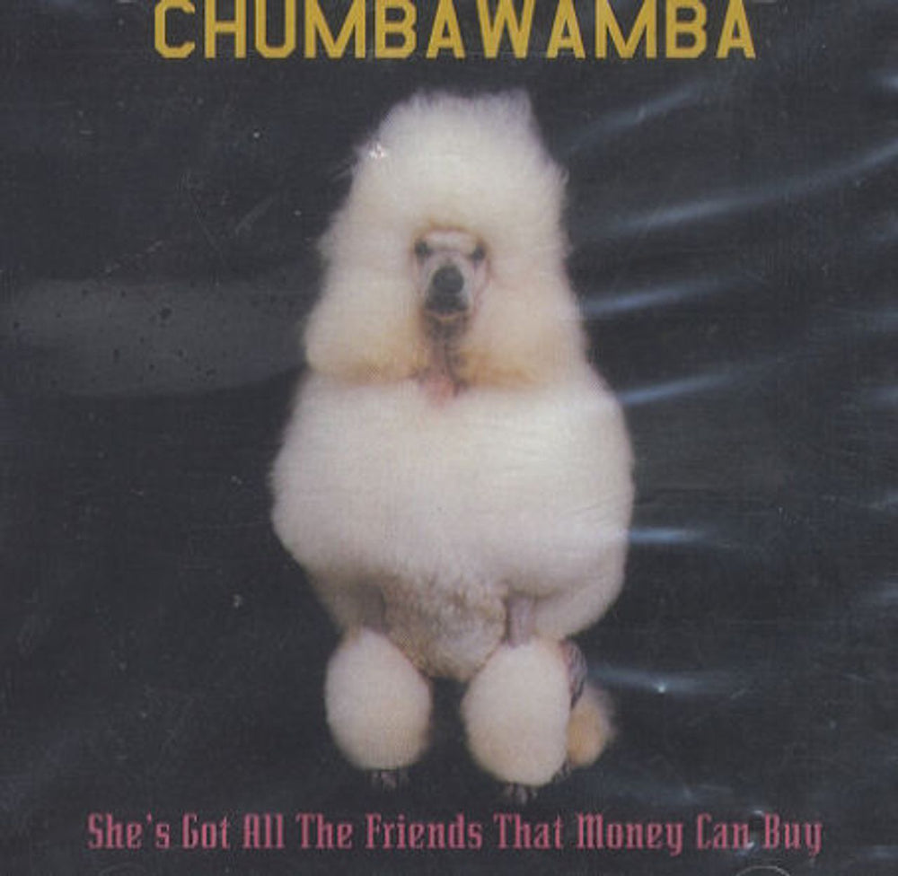 Chumbawamba She's Got All The Friends That Money Can Buy US Promo CD single (CD5 / 5") UNIR-20033-2