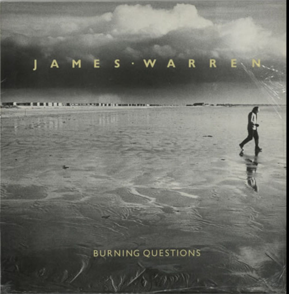 James Warren Burning Questions UK vinyl LP album (LP record) SNTF956