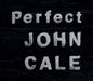 John Cale Perfect UK Promo CD single (CD5 / 5") CDEMDJ672