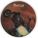 Meat Loaf Bat Out Of Hell US picture disc LP (vinyl picture disc album) 34974