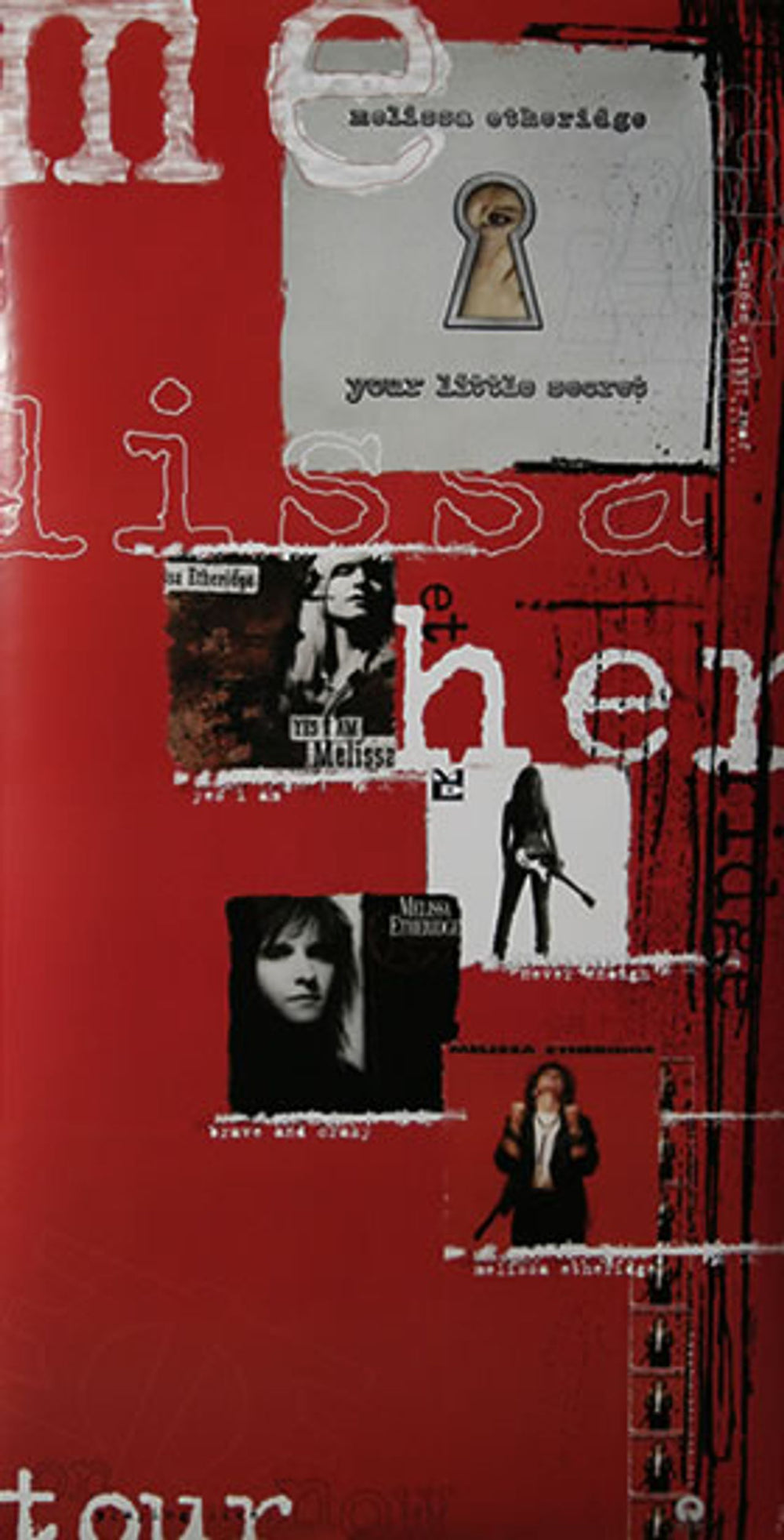 Melissa Etheridge Playing Live On Tour Now US Promo poster PROMO POSTER