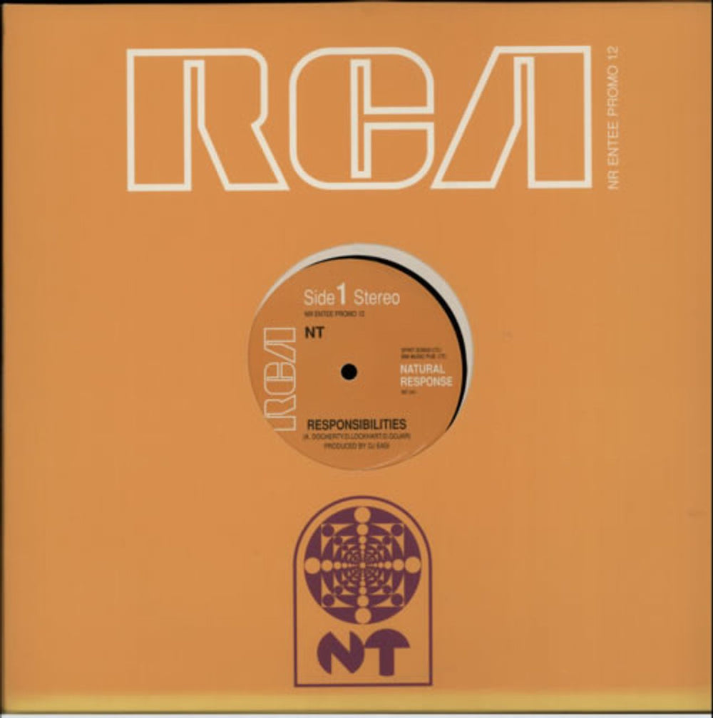NT Responsibilities UK Promo 12" vinyl single (12 inch record / Maxi-single) NRENTEEPROMO12