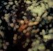 Pink Floyd Obscured By Clouds - 7th - barcoded p/s UK vinyl LP album (LP record) SHSP4020