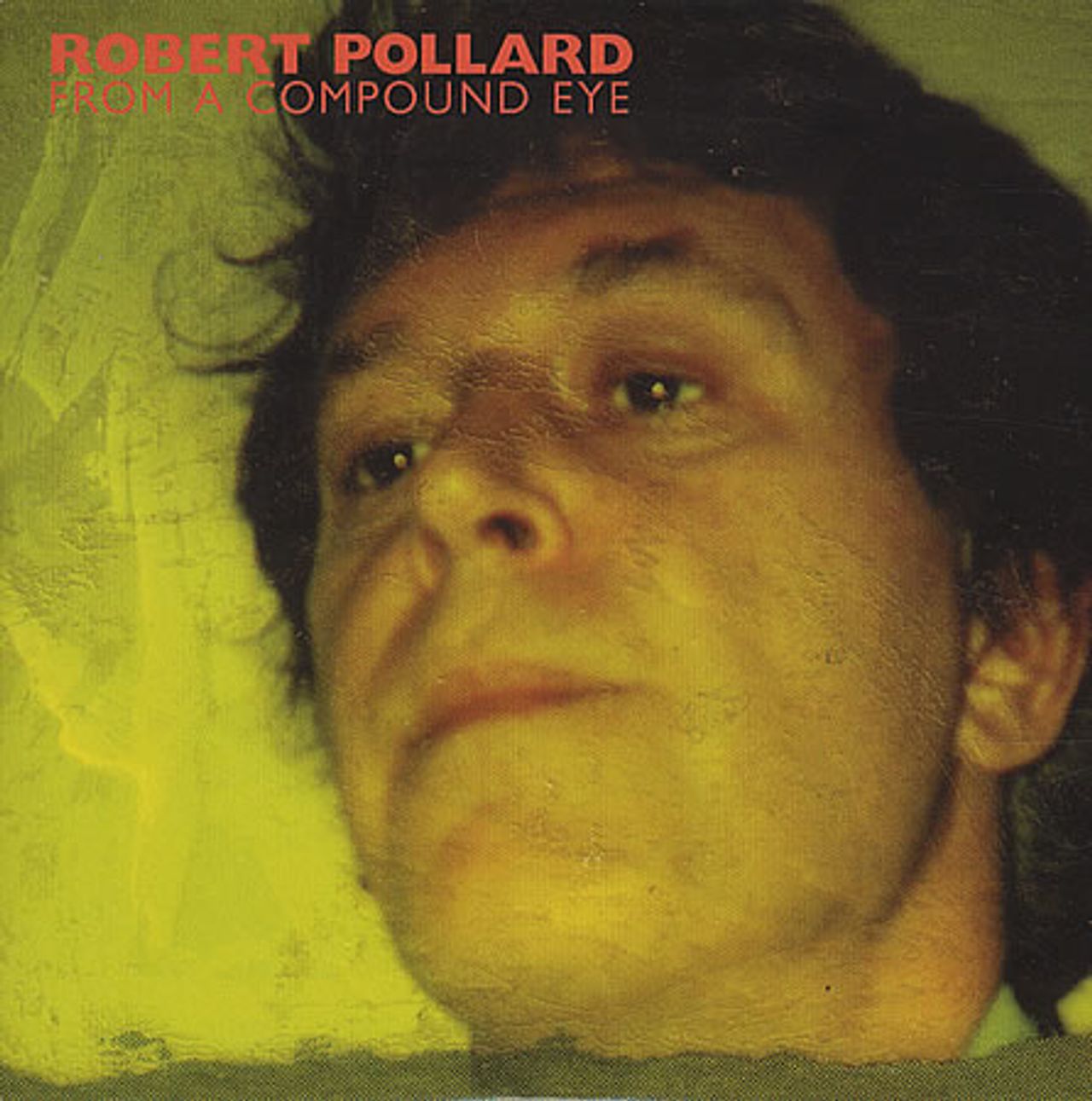 Robert Pollard