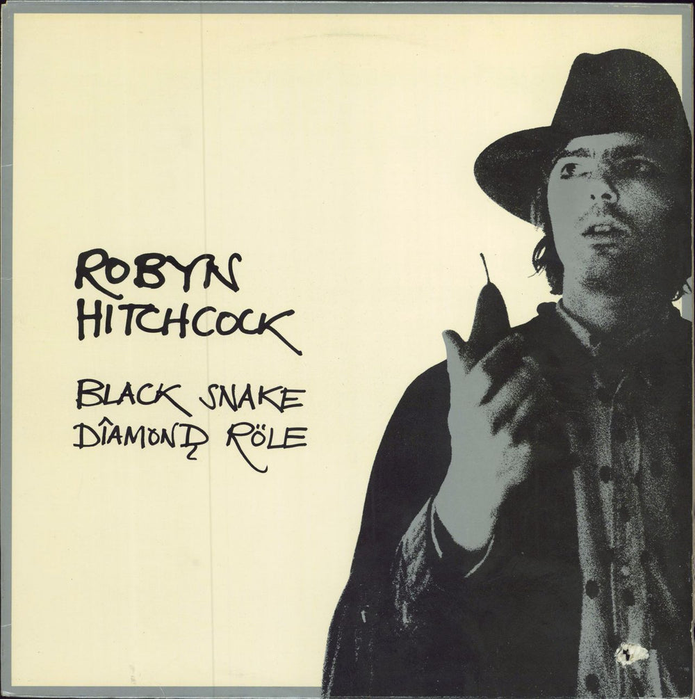 Robyn Hitchcock Black Snake Diamond Role US vinyl LP album (LP record) 88561-8088-1