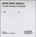 Super Furry Animals It's Not The End Of The World UK Promo CD-R acetate CD-R ACETATE