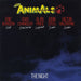 The Animals The Night UK 12" vinyl single (12 inch record / Maxi-single) PFSX1019