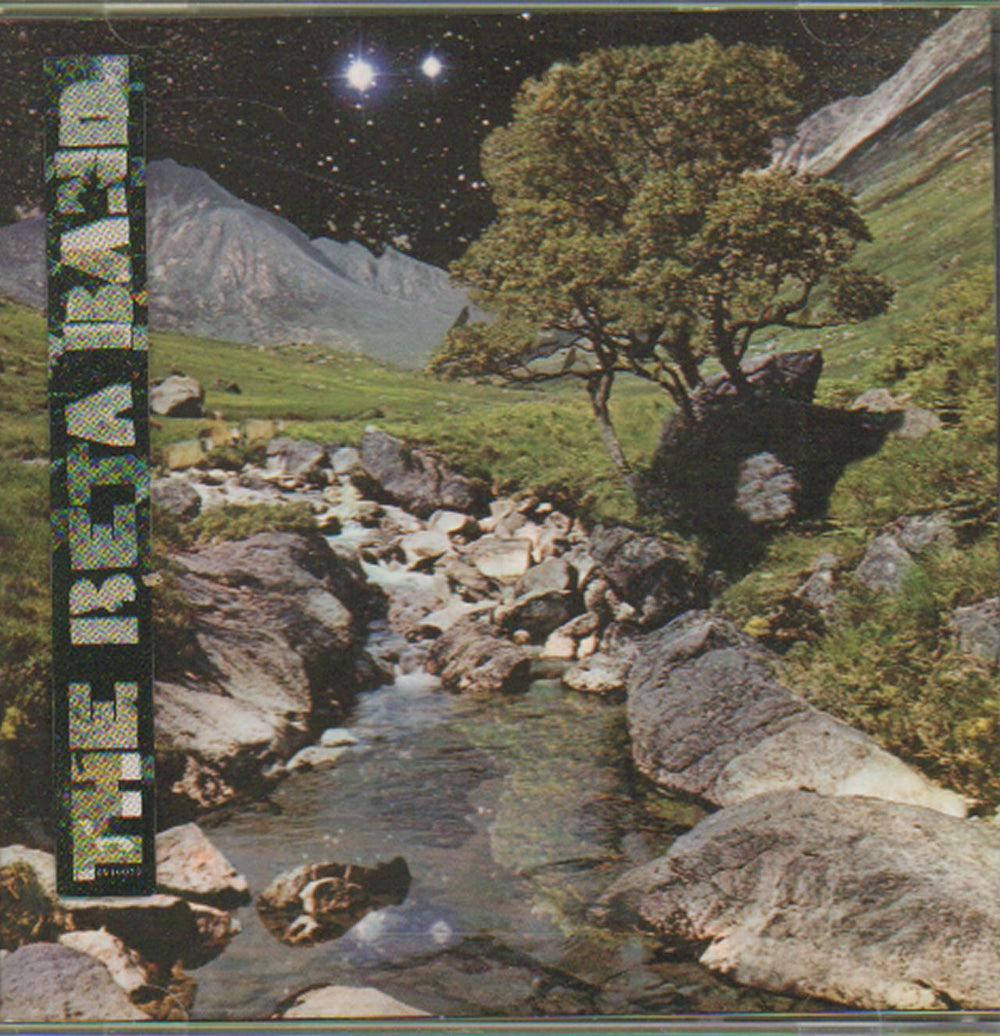 The Beta Band The Beta Band UK CD album (CDLP) REG30CD