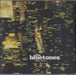 The Bluetones After Hours UK Promo CD single (CD5 / 5") BLUECDJ016