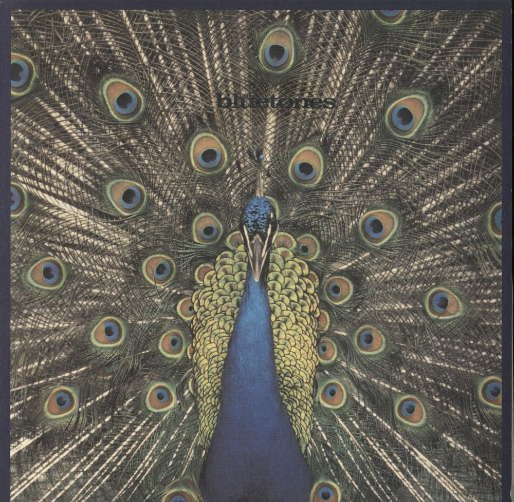 The Bluetones Expecting To Fly UK vinyl LP album (LP record) BLUELP004