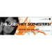 The Cribs Hey Scenesters UK Promo memorabilia PROMO STICKER