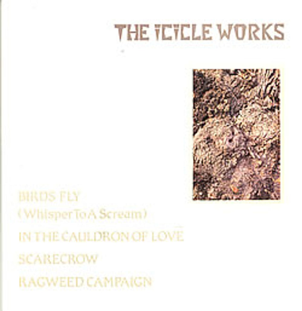 The Icicle Works Birds Fly (Whisper To A Scream) UK 12" vinyl single (12 inch record / Maxi-single) BEG108T