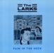 The Larks Pain In The Neck UK 12" vinyl single (12 inch record / Maxi-single) 12LARX3