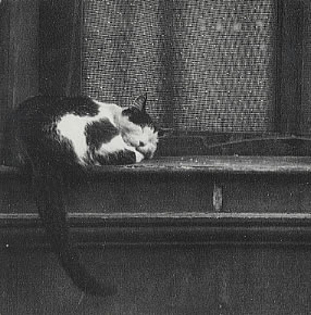 Tindersticks City Sickness UK CD single (CD5 / 5") WAY1833