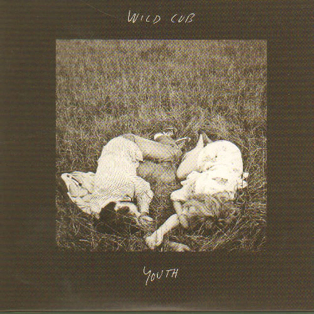 Wild Cub Youth UK Promo CD-R acetate CD-R